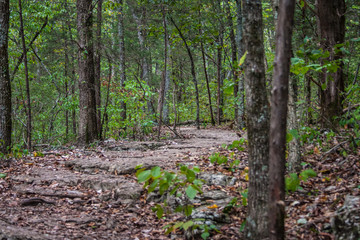 Rocky Trail