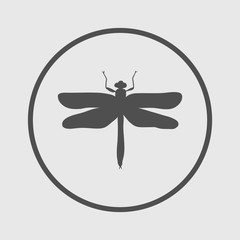 dragonfly icon
