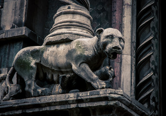 stone lioness florence italy