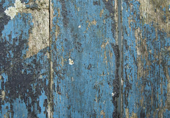 Fototapeta premium A full page of rotten blue wooden boat background texture