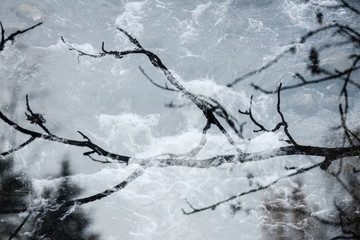 abstract blur autumn colors of nature