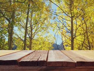 Empty wooden table in front of autumnal landscape