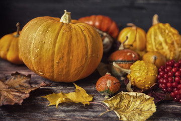 Autumn still life with pumpkins and leaves on old wooden backgro