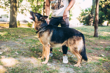 man and dog on the lawn in the park