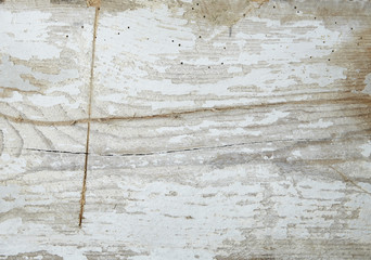 A full page of distressed white faded wood background texture