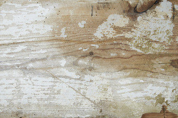 A full page of distressed white faded wooden background texture