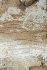 A full page of weathered white washed wood background texture