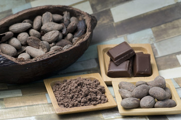 bean of cocoa