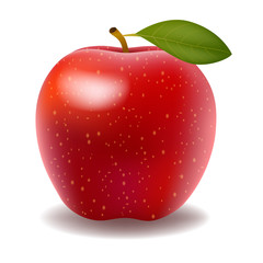 illustration of detailed big shiny red apple