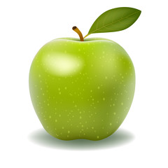 illustration of detailed big shiny green apple