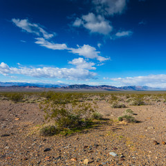 Death Valley and Red Rock Canyon Road Trip