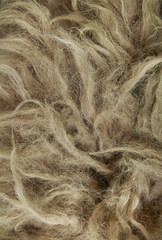 A full page close up of brown woolly background texture