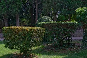 Topiary of geometric shapes on lawn in resort park.