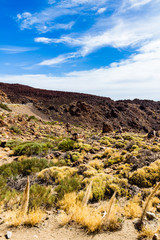 Igneous landscape with mountain range on background, Teide National park, Tenerife, Spain
