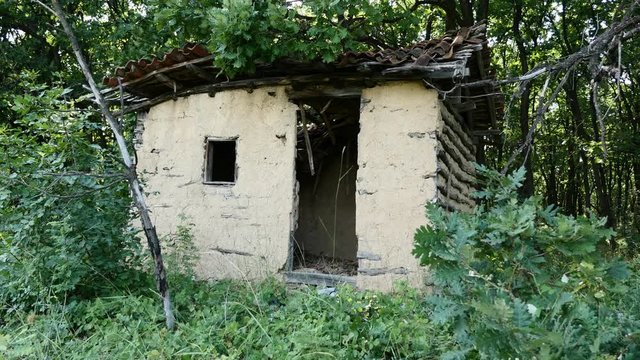 House of logs and mud horror typical establishing slow tilt 4K 2160p 30fps UHD footage - Abandoned forest cabin hidden in the grass and shrubs 3840X2160 UltraHD tilting video 