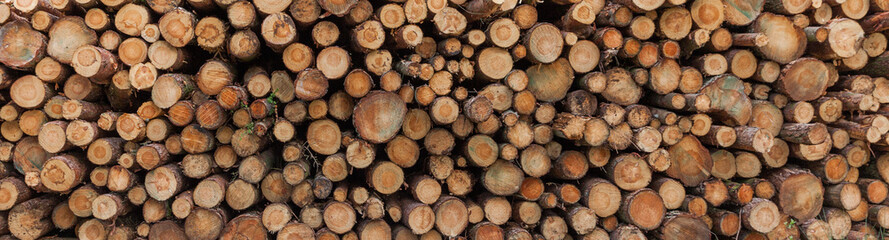 Logging in yorkshire