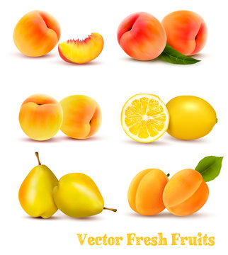 Big Group Of Yellow And Orange Fruits. Vector.