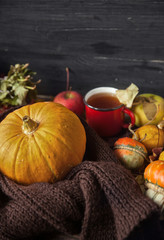 Autumn still life with pumpkins and cup of tea on old wooden bac