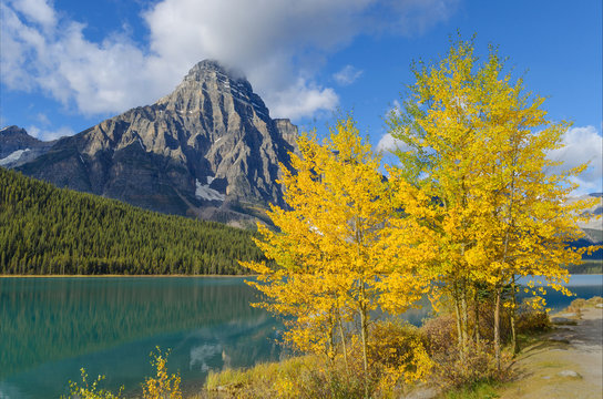 Mount Chephren, Lower Waterfowl Lake, Banff National Park,  Canada