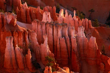 Wall murals Rood violet Bryce Canyon Spires