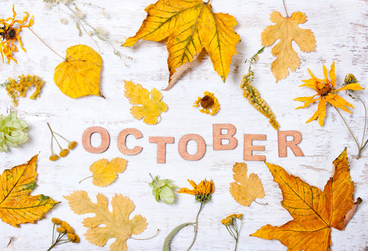 The word "October" with yellow leaves