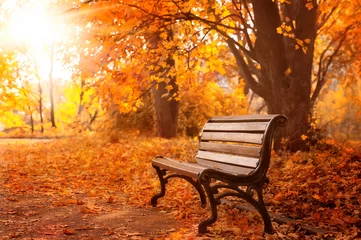 Foto auf Acrylglas Herbst ländliche Holzbank. Herbst Hintergrund
