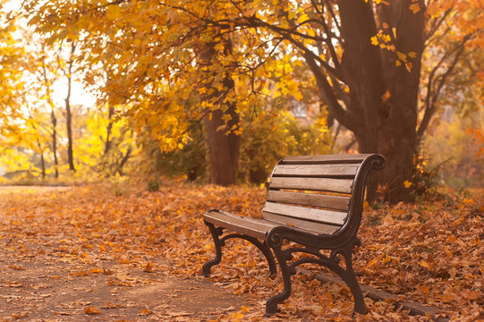 rural wooden bench. vintage autumn background