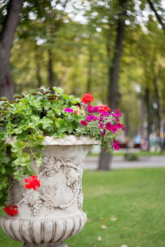 Flowers in a vase in the park. Street flowerpots with summer flowers on blurred  green background.