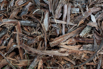 bark