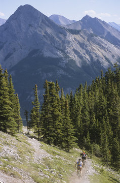 Mountain bikers riding down trail into the forest in Kananaskis Country, Rocky Mountains, Alberta, Canada.