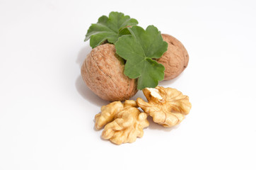 Walnuts isolated with lief