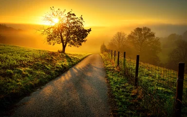 Zelfklevend Fotobehang Idyllisch landschap bij zonsopgang, met een pad en een boom op de weide © Smileus