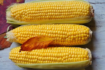 Fresh corn on cobs on rustic wooden table
