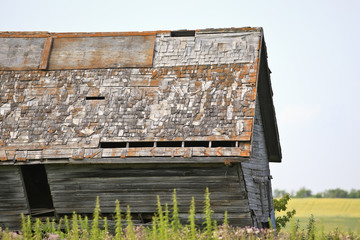 Old abandoned barn on the Canadian Prairie.  Pembina Valley, Manitoba, Canada.