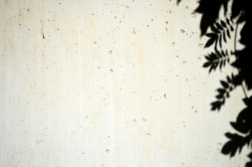 Schatten von Pflanze auf Mauer