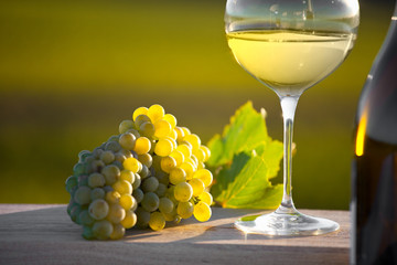 Vin blanc dans le vignoble Français