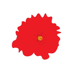 Red poppy flower sign pattern on white background