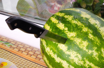 Kitchen Knife stuck into fresh melon isolated on white Background.