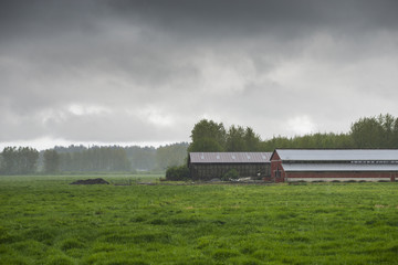Farm Storm