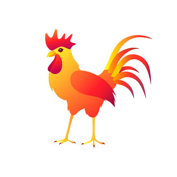 Fire rooster on a white background.