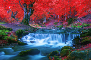 waterfall © Ivan Kmit