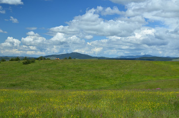 Landscape with green fields under blue sky and white clouds on a sunny spring day