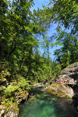 The famous Vintgar gorge with wooden path near lake Bled, Slovenia