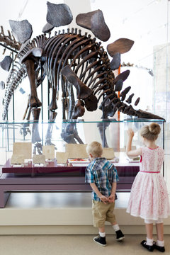 Girl and boy looking at dinosaur fossils at Royal Ontario Museum, Toronto, Ontario, Canada