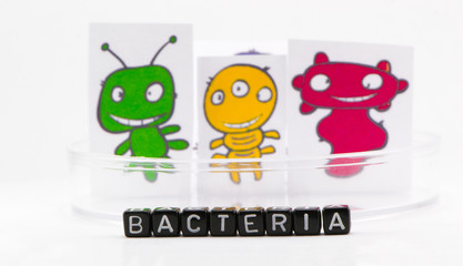 The bacteria in a petri dish