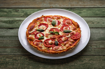 Delicious pizza with cheese on white plate.