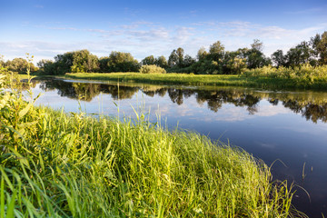 Summer reflection at the river. Russia