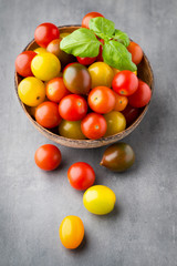 Tomatoes an gray background. Colorful tomatoes, red tomatoes, ye