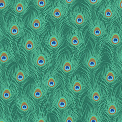Peacock feather seamless pattern. Vector illustration - 122555095