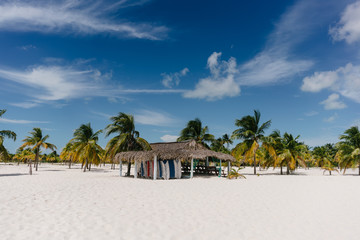 Palm trees on the Caribbean Sea on the sand beach of Cayo Largo, Cuba